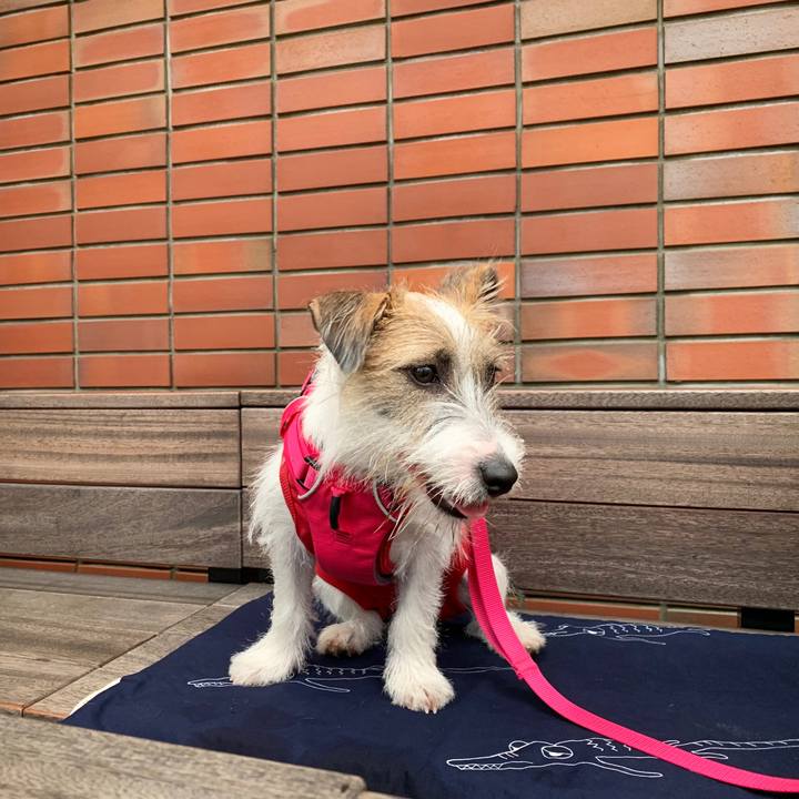 02831ce0 9613 4c20 bc43 1aabdf2b3f80 1569682747642