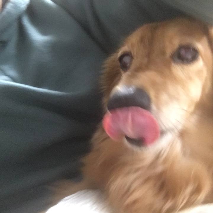 02832ee8 ba57 4052 b5e8 3ae0fc899729 1607518404591