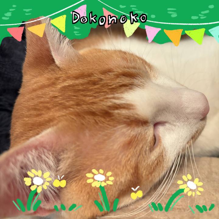 0283328d 2b4e 48f1 a83b 003dc07c6b0d 1711438460421