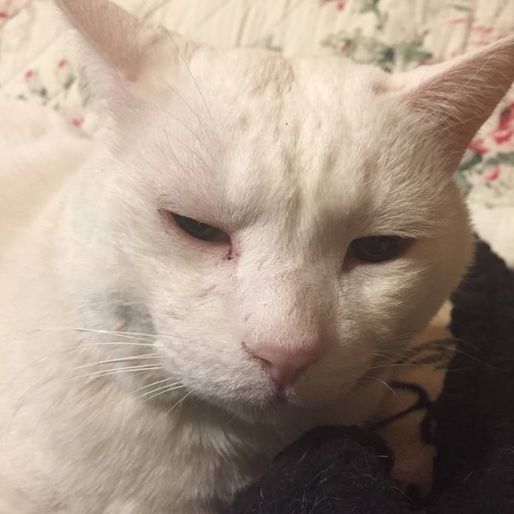 02833e2e 440f 4bd2 ac6a 4355529a046c 1514735606430