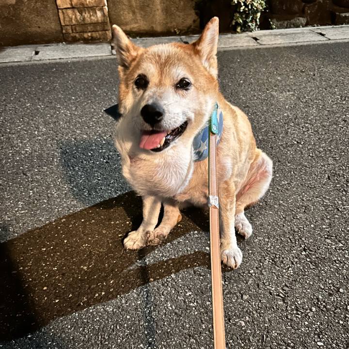 02835bad 6631 45cc bc79 1d91d3db1add 1757931276582