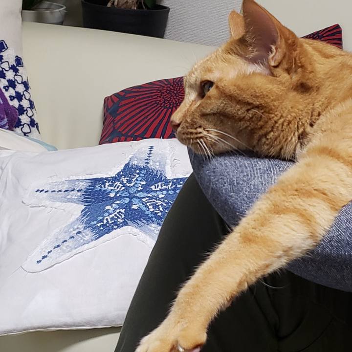 0283874d d20f 4453 949e 697c48294c93 1718021070922