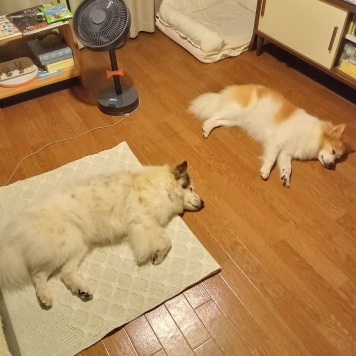 0283e60c 1022 4178 a603 aebae18bda08 1693489844946