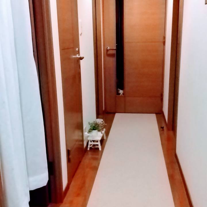 0283e765 1b7e 44e3 b47b d310f03d3112 1575986229920