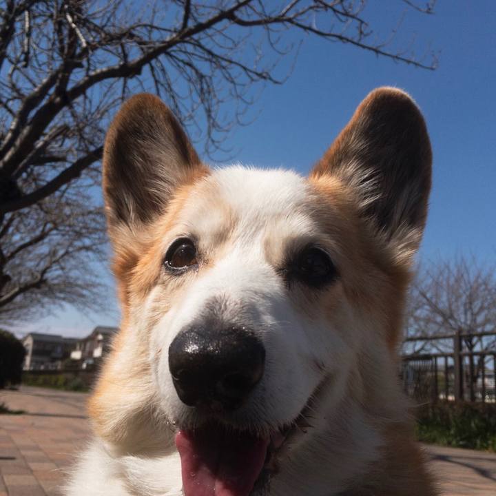 02843aeb 1a5a 4525 be70 7209045bf6b1 1584756854557