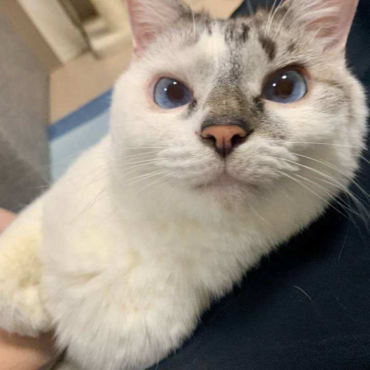 02845280 e013 4c80 9f23 804e3917dff4 1633243932581