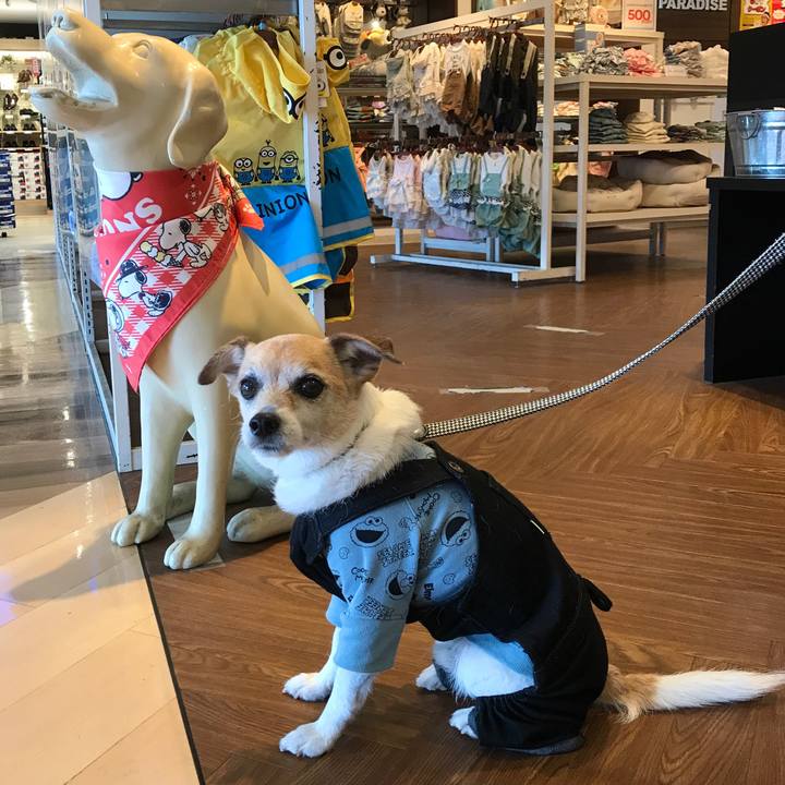 0284a8f2 16dd 49b2 ad5a 4348348d06cd 1647676209104