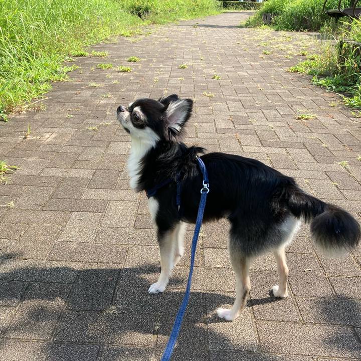 0284fdcf 9d04 412d b16c 58ef574099f5 1627098586193