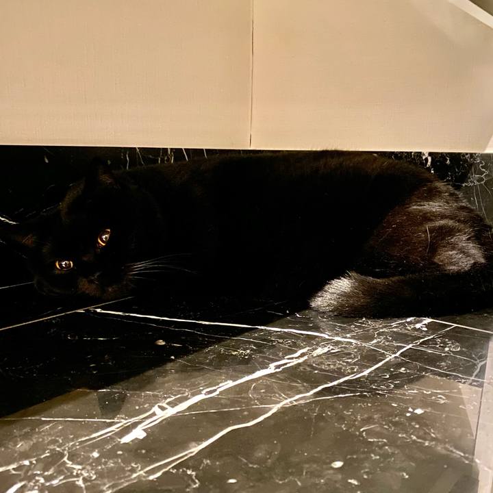 02853edb 3c7a 46c7 9bd1 530e3e9f0309 1660737248111