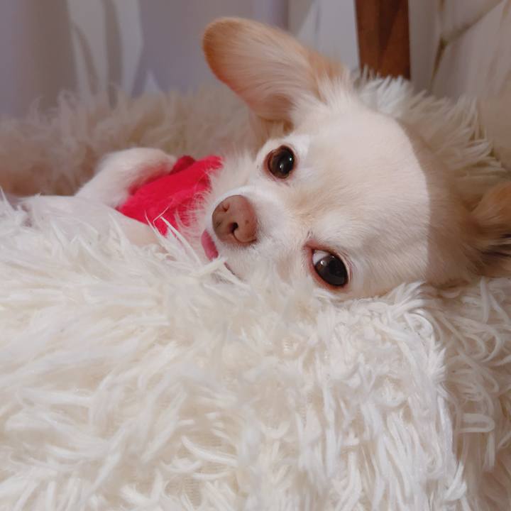 02857131 3d42 4b81 877b e9cefcd3b8d6 1764847445036