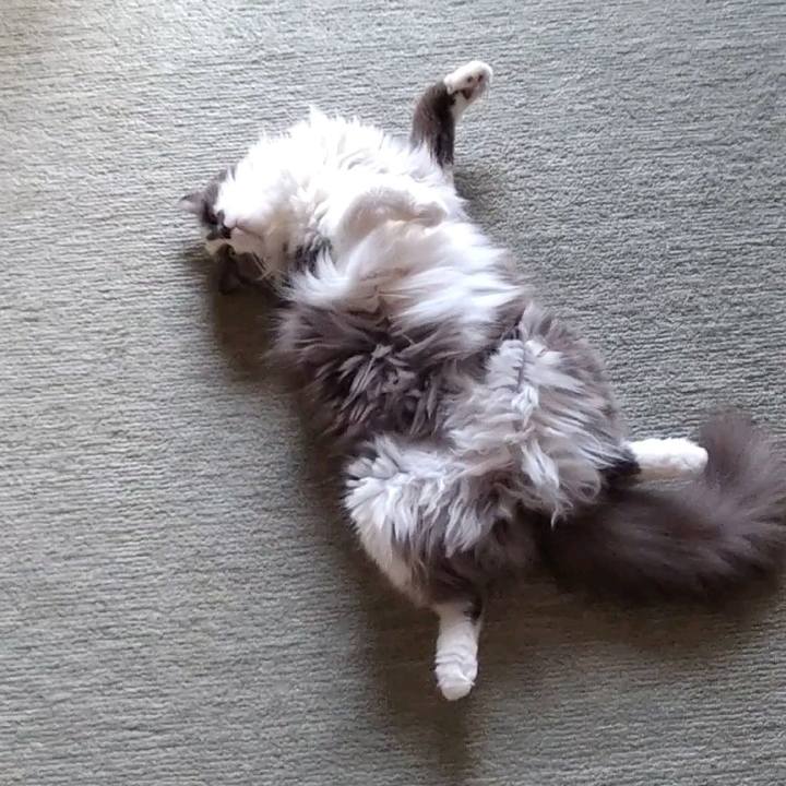 02861304 5cdf 4806 bda8 3e8d3b6758bf 1659957282115