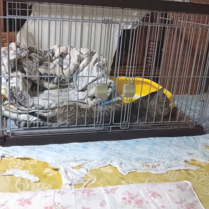 02861b30 67d9 4d82 9f90 381b2e56c9de 1594695862457