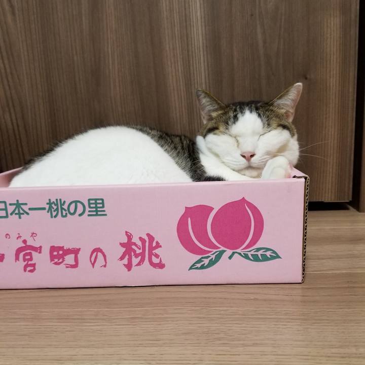 02863504 e6b9 486b a1aa a0714a5a4cea 1600205731881