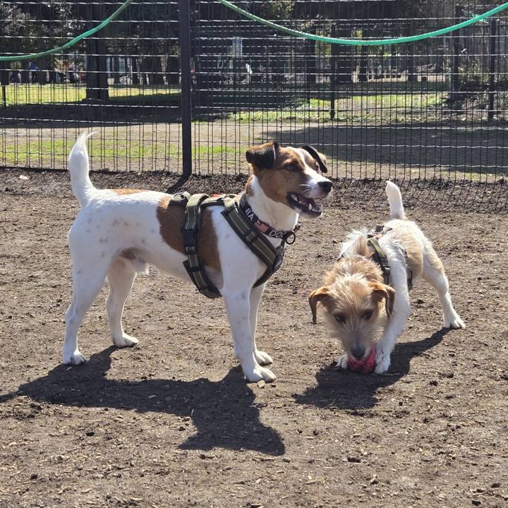 0286887d 2406 4b62 8697 06efd575e480 1772887397892