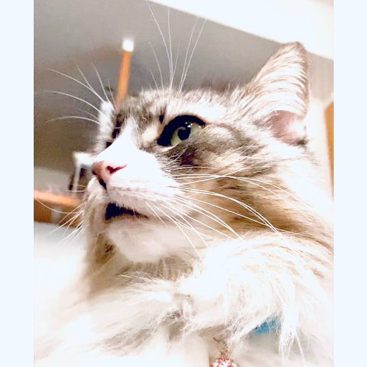 0286a72d 34cc 4505 af41 528ebc60c2f6 1758557619576