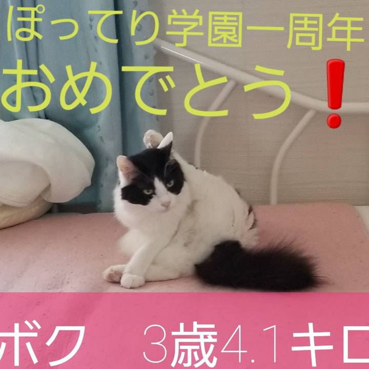 0286a9a0 67e4 4cff 92dc 5041b0d32657 1588380116990