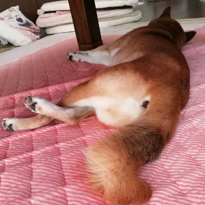 0286e1ba 3fc5 467d 90da b87c11d7ca29 1694569360194