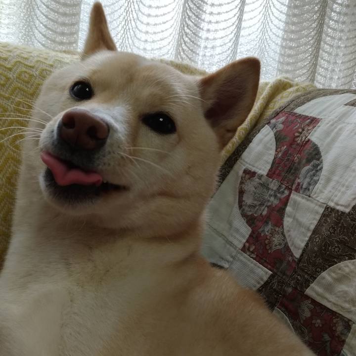 0286fa06 a8e0 43cc 87b9 ccdb818f5d11 1550365764281