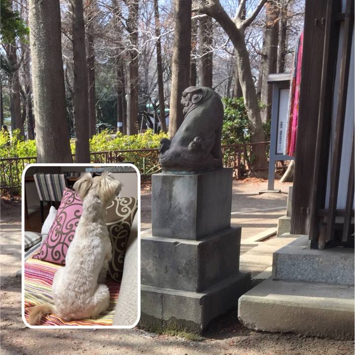 028719cd ee2a 4b98 abea c61eb8153ae4 1517722163708