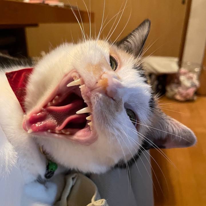 02872c62 9f65 4adf bcdd f76caefc6192 1716893387244