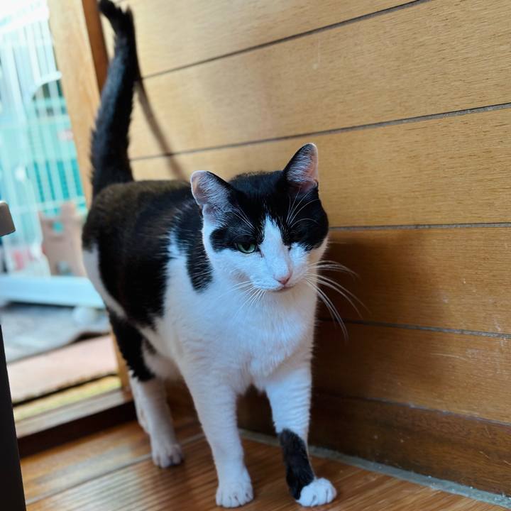 028747e0 5b22 4539 be2f 2d33d5847215 1692923424024