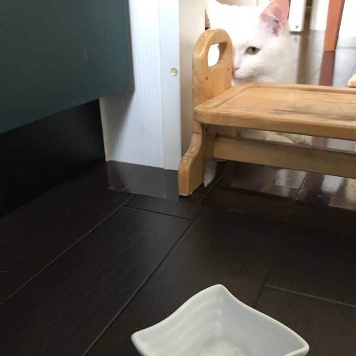 0287576d 5099 4c34 a58f 1e4a36ba43a7 1532254057283