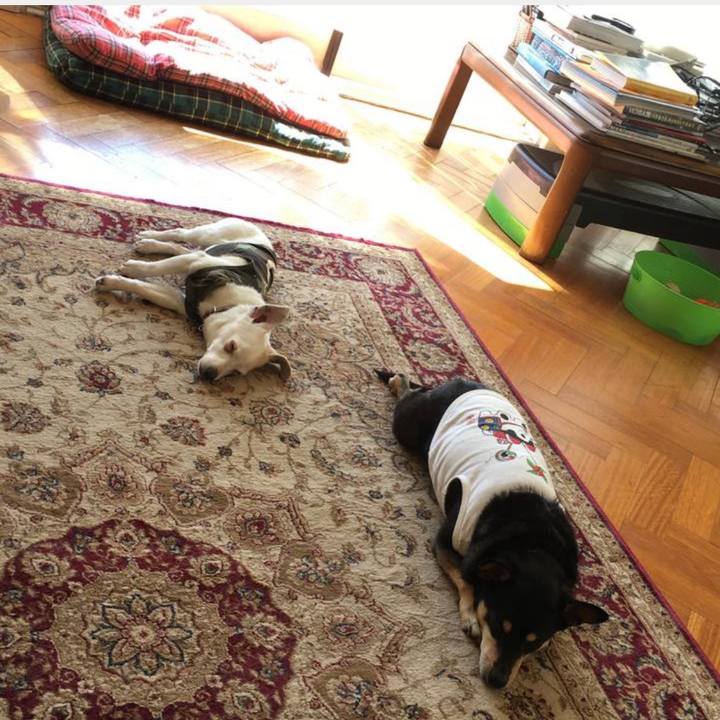 0287ba99 5719 419a 9542 2962bf76ff88 1759881109740