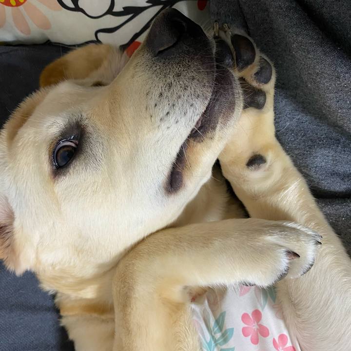 0287d194 2a38 485c 88b5 e179f64b2b40 1619735085438