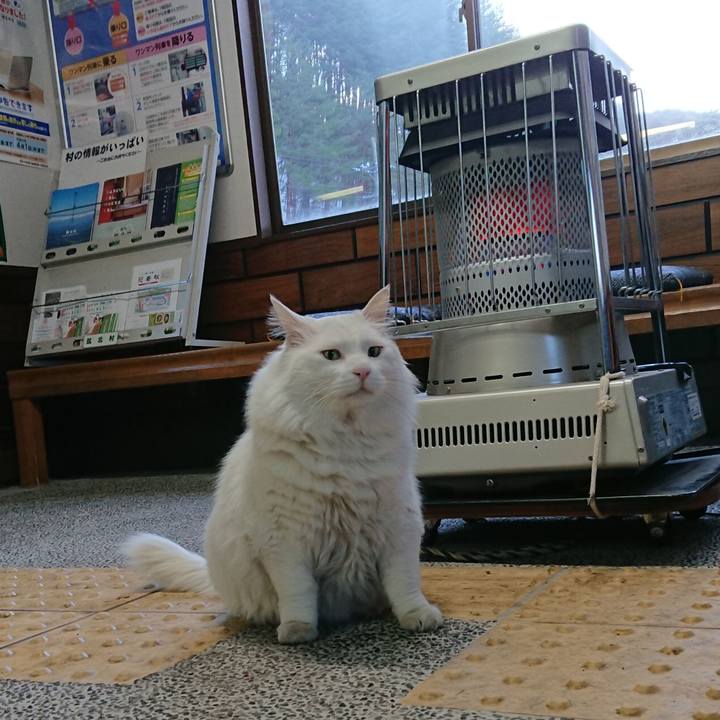 02883e81 7785 4597 9fe5 b1d40609d4e2 1549232666327