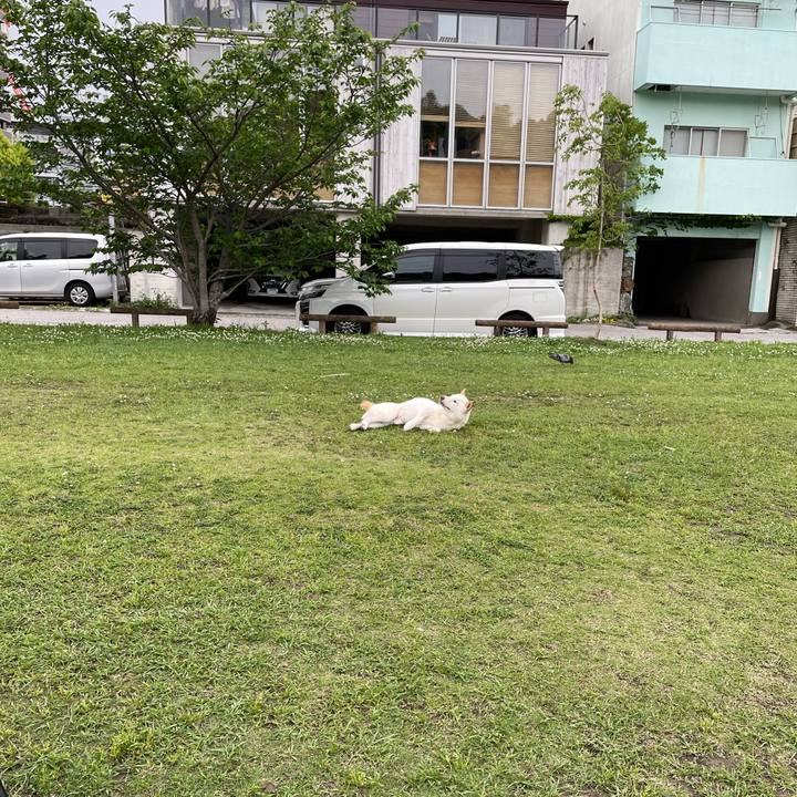 028852b4 2c30 4267 9fc8 b829dd988bc2 1651069546699