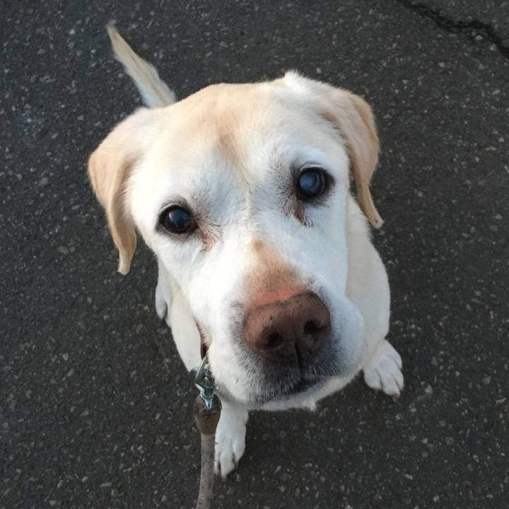 02887886 a462 4a01 9bd6 843356db2f69 1517608839359