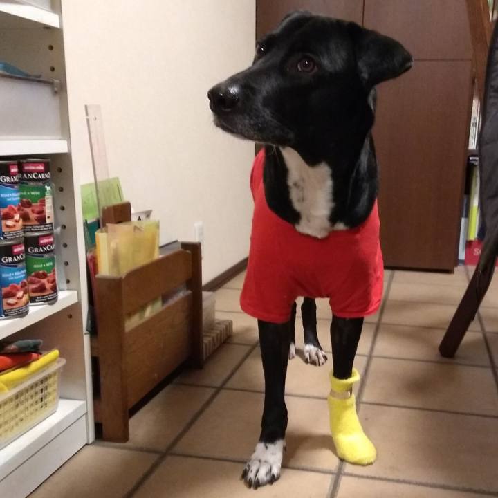 02889067 1f90 4f9a 9b19 44a4cca8ee0d 1612786827962