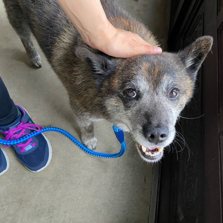 02889ca6 a241 4584 bb64 7132eb2dce1a 1656319861588