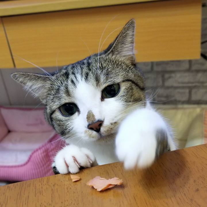 0288c2bf dc81 4fa3 8db0 44bbb6881ede 1511008514436