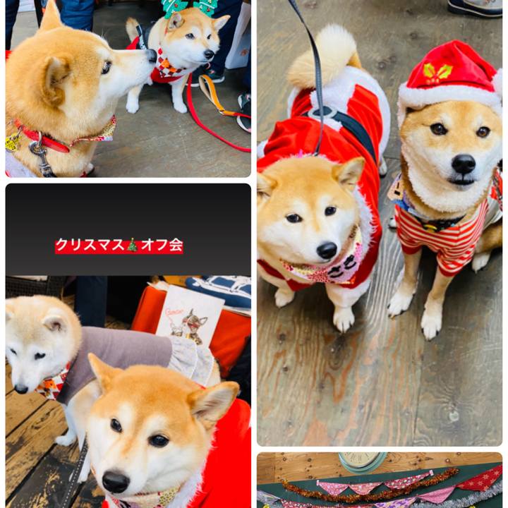 0288f7df 902a 4a49 861f c236194f6aeb 1575701001580