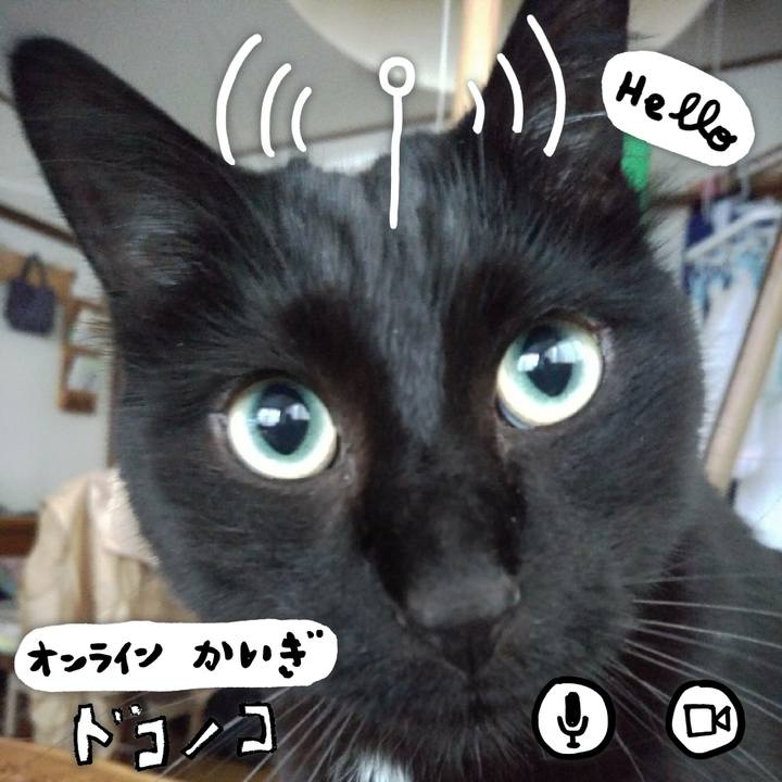 0288fa7b 8511 49b5 b487 731ee709dff1 1590807671138