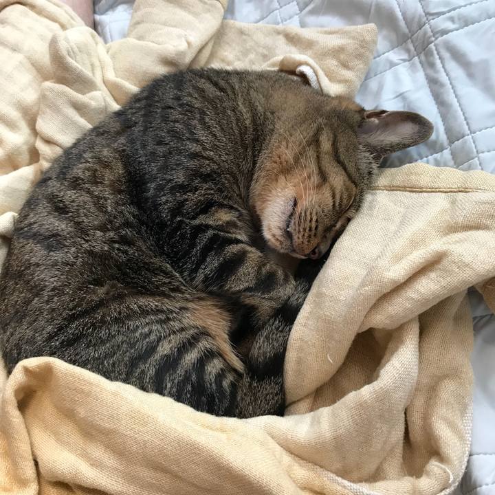 02890cd6 6358 4ff1 a0c1 f1ec155c4ec6 1531877697625