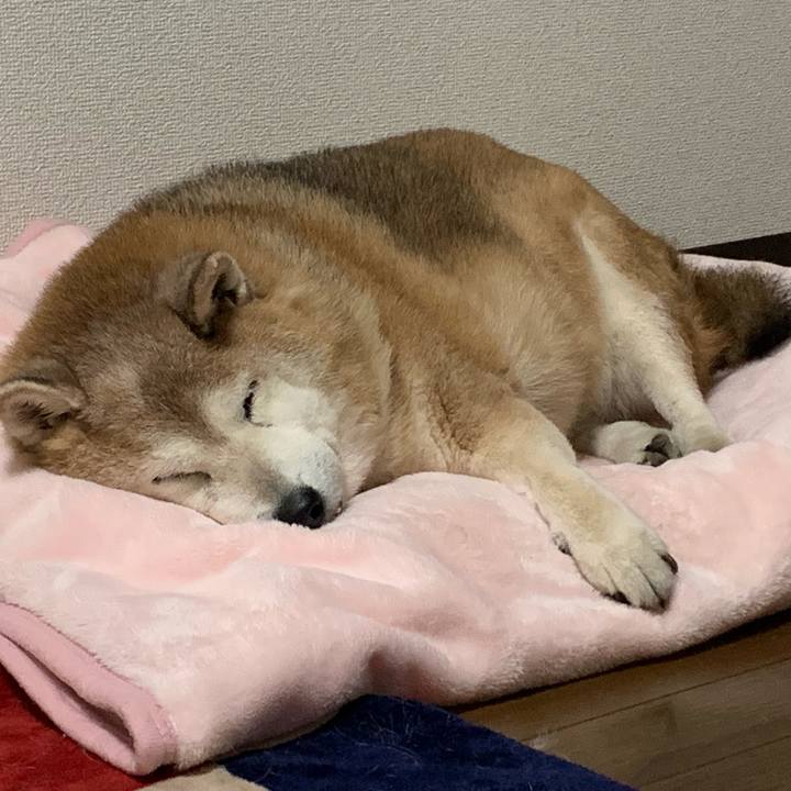 0289167f f523 45ab b765 fba394128480 1638106702265