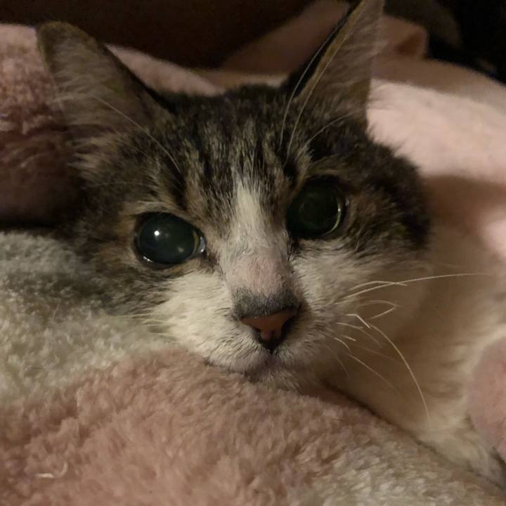 02891d5f d4a3 4a2b 99c3 0216c7343ccf 1601545425202