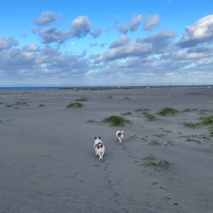 02894481 4ae0 4ef8 b8ff 51cffaf66c43 1759966959137