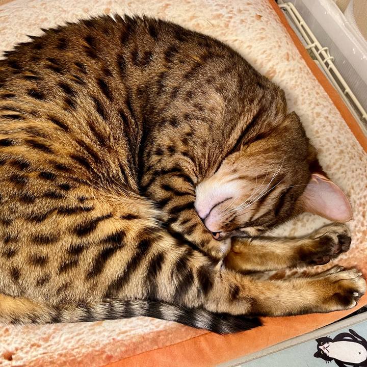 028946a0 12a2 44bb b819 57b2c359a02c 1660099798030