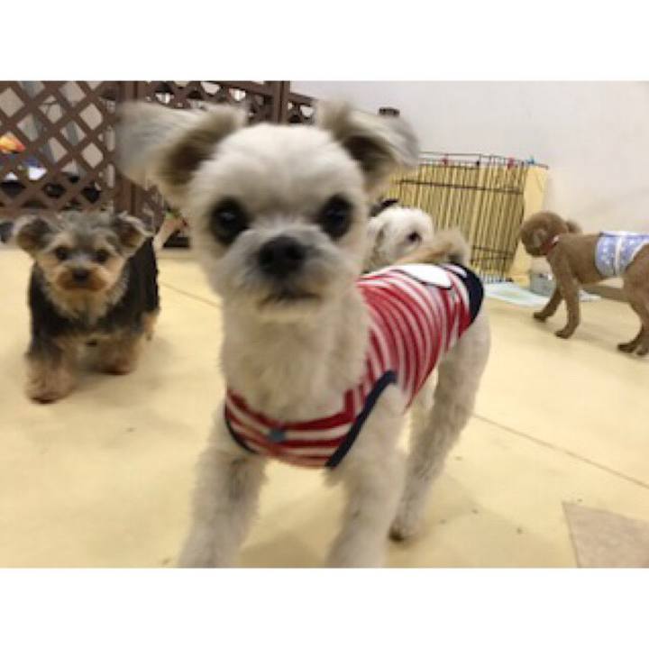 02898742 0b0a 4d5f 9d39 c4c581bfae03 1545221669678