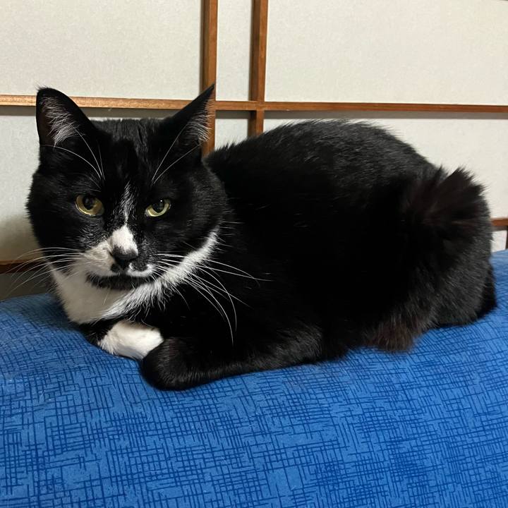 02898fca 777d 4245 a505 b39b575483c0 1717558552294