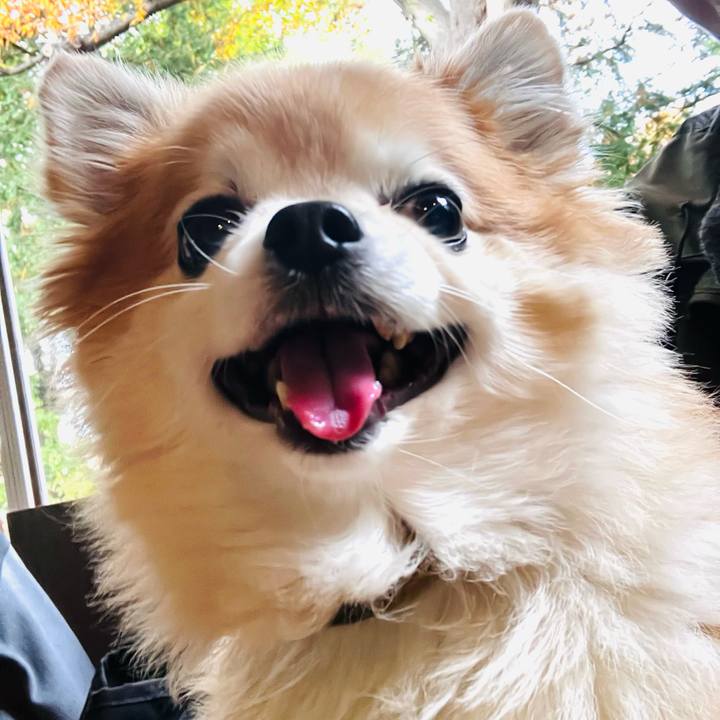 02899403 8bc8 470e 8b58 a4a56f390b08 1764331168309