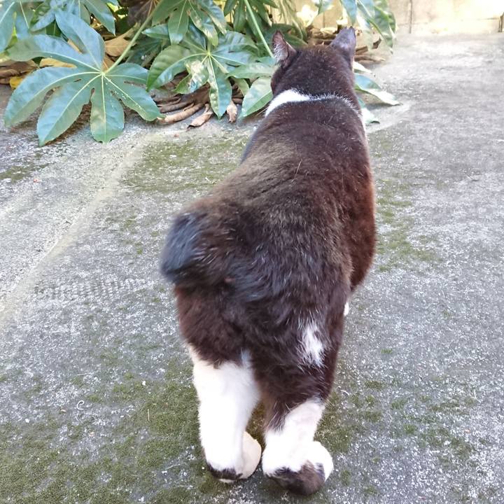 0289b2c5 f4ed 4508 be35 5b0cdeba2c8c 1636774405635