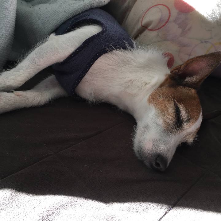 0289c549 7fdc 4d30 9dc9 033a2fe8fc63 1578709000892