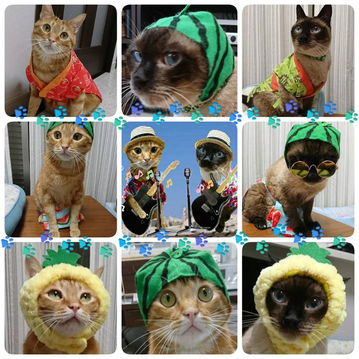 028a1412 7b30 4609 afab a11f455c38e9 1562503791418