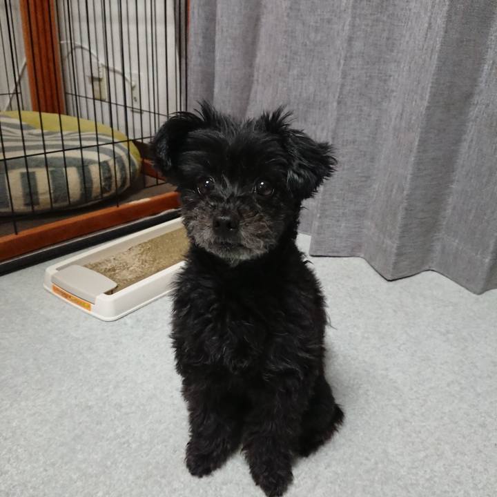 028a927c 9fcd 4c21 8722 4bc955316077 1525966206629