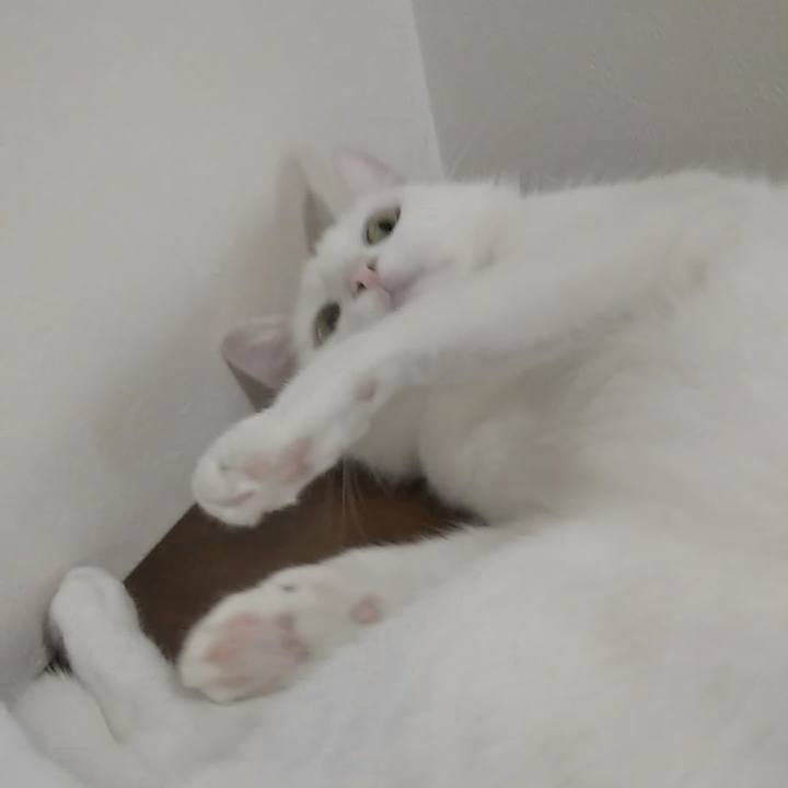 028aa0dc 8fc2 430f a607 121b0bfe7386 1628764287754