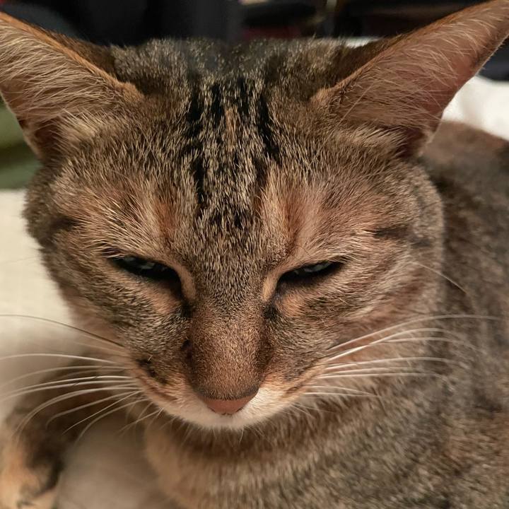 028afbe8 ebfd 403c b863 e92027038510 1651323659511